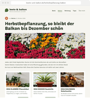 Desktop-Beispiel Home & Living